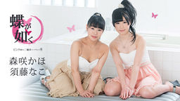 須藤なこ 蝶が如く ~ピンク通りの二輪車ソープランド8~ 須藤なこ 森咲かほ 061519-942