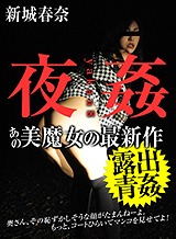 仙道春奈(新城みなみ) 夜姦 8 ~淫らな美魔女~ 新城春奈